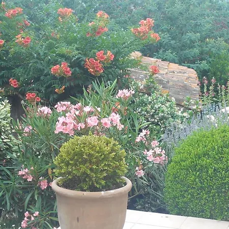 Au Bouzigues Monlaur-Bernet