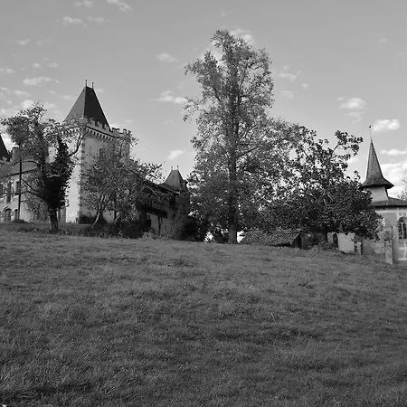 Au Bouzigues Monlaur-Bernet