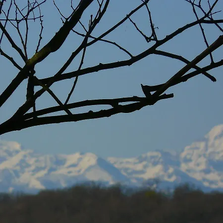Au Bouzigues Monlaur-Bernet