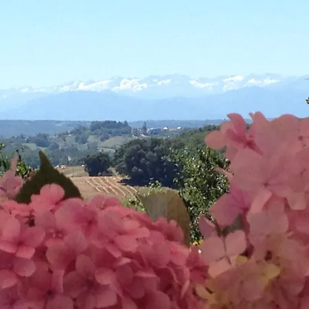 Au Bouzigues Monlaur-Bernet