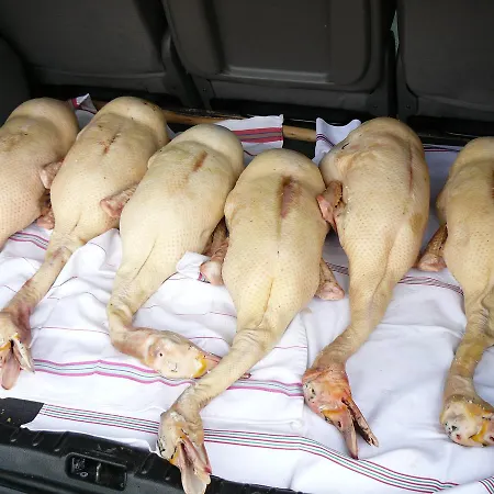 Au Bouzigues Сasa de vacaciones *